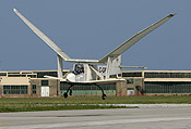 Ornithopter Flight